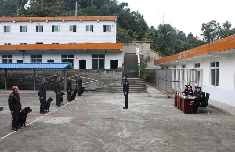 四川省汉王山监狱开展警犬训导考核